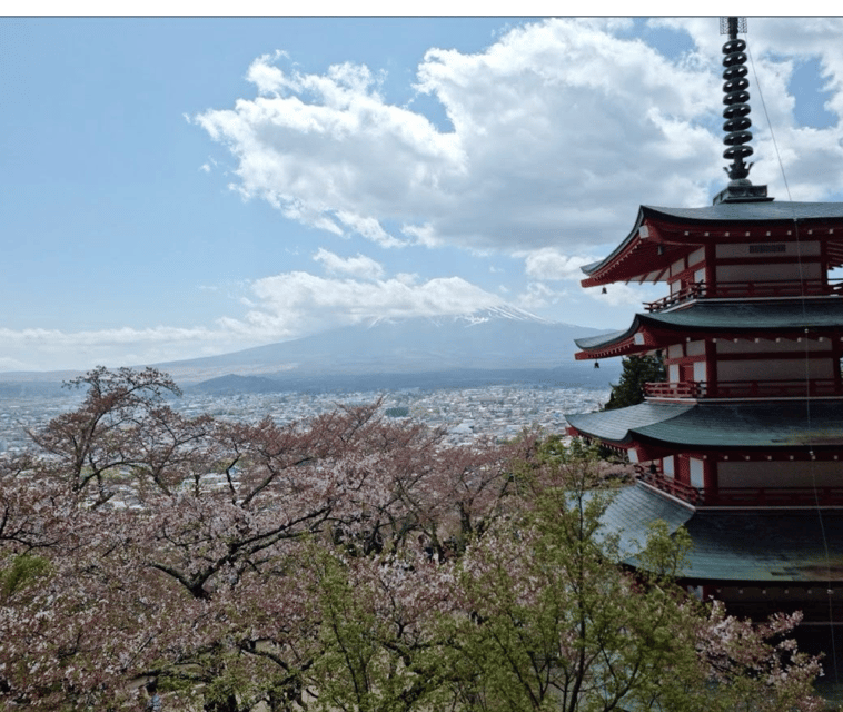 From Tokyo: Mt Fuji Private Day Tour In Luxury Land Cruiser - Tailored Experiences