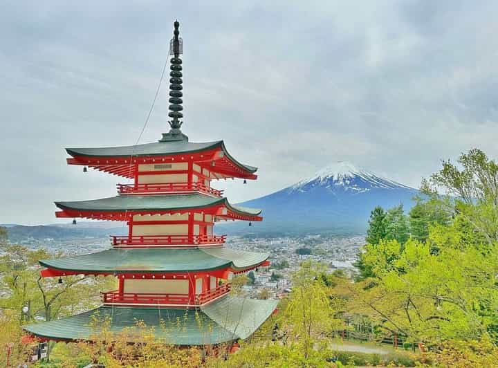 From Tokyo:Mount Fuji Customize Day Tour With English Driver - Overview and Pricing