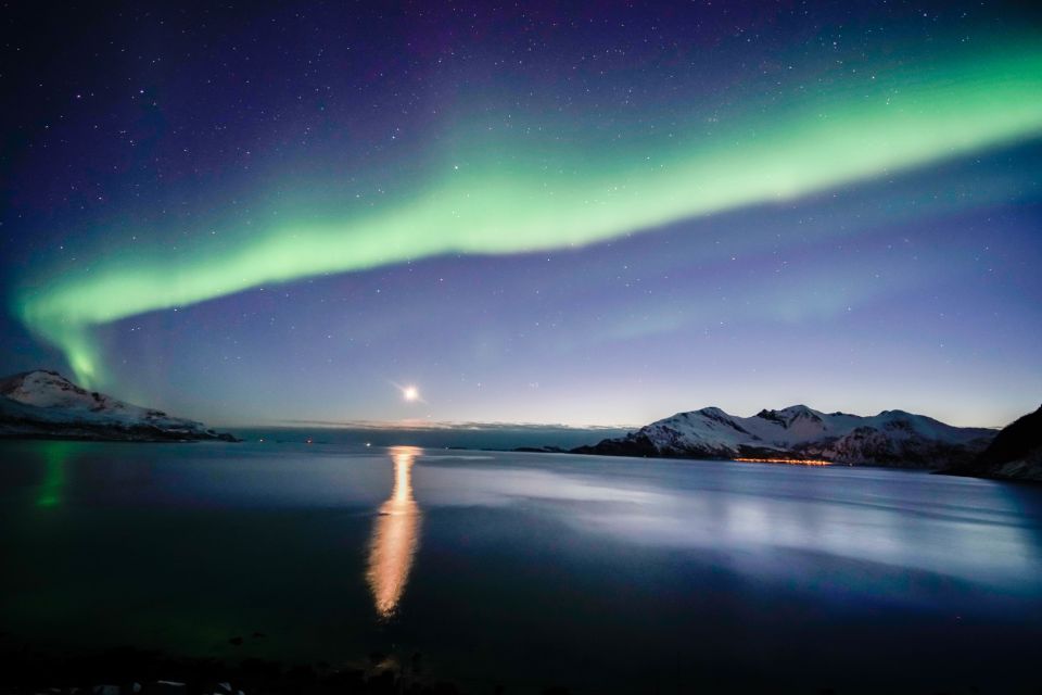 From Tromsø: Aurora Borealis Tour - Tour Inclusions