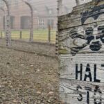 From Wrocław: Full Day Auschwitz Birkenau Guided Tour Tour Overview