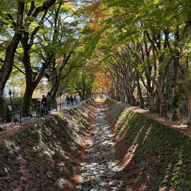 Fuji Tour: Exploring the Beauty Around Mount Fuji - Oishi Park Break