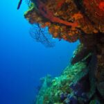 Full Day Catalina Island Snorkeling Tour From Punta Cana Relax On Catalina Island Beaches