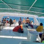 Full Day Experience With Dolphins And Snorkeling In Red Sea Experience Overview