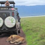 Full Day Trip To Ngorongoro Crater From Arusha Town Ngorongoro Crater Highlights