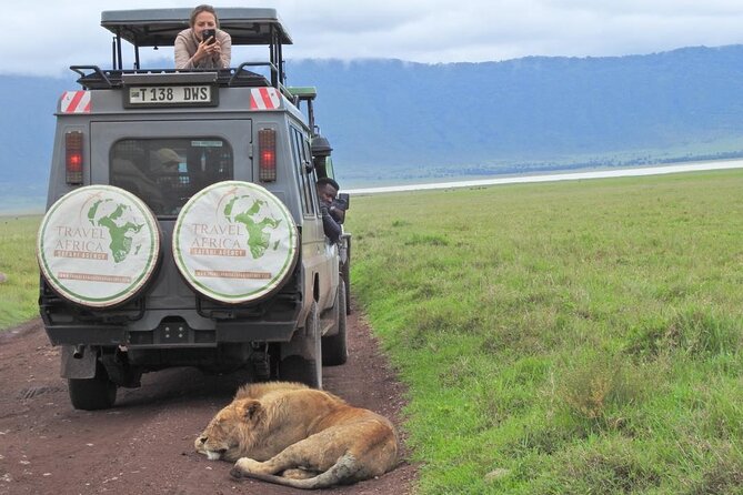 Full-Day Trip to Ngorongoro Crater From Arusha Town - Ngorongoro Crater Highlights