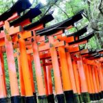 Fushimi Inara Taisha Imaginary Experience Experience Overview