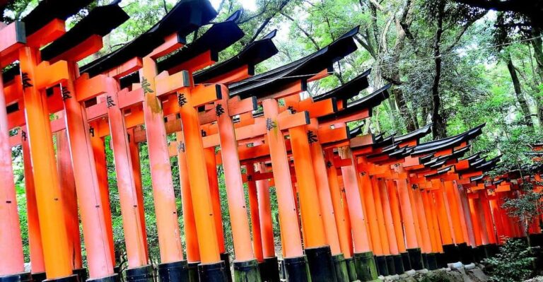 Fushimi Inara Taisha Imaginary Experience Experience Overview