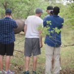 Game Drive And White Rhino Walking Safari In Livingstone Safari Experience Overview