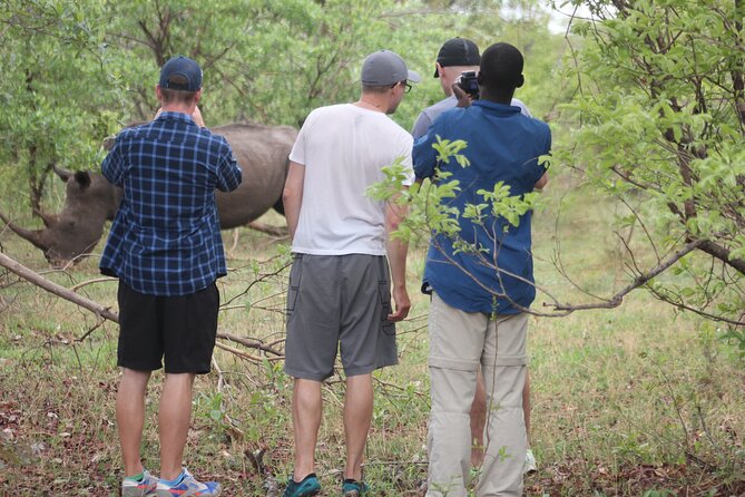 Game Drive and White Rhino Walking Safari in Livingstone - Safari Experience Overview