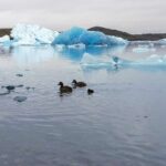 Glacier Lagoon And Diamond Beach Private Tour From Reykjavik Tour Overview