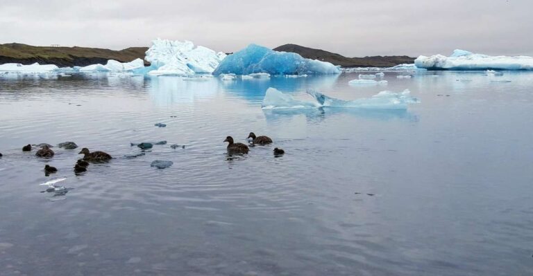 Glacier Lagoon And Diamond Beach Private Tour From Reykjavik Tour Overview