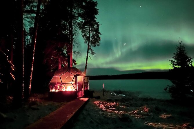 Glass Igloo Campfire Dinner Under Northern Lights - Overview of the Experience