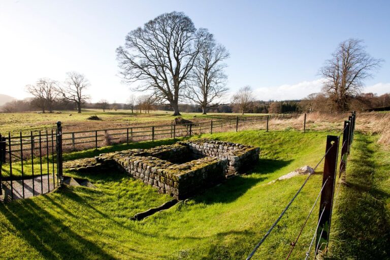 Hadrians Wall: Chesters Roman Fort And Museum Entry Ticket Ticket Pricing And Cancellation