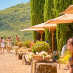 Half Day Chianti Vineyard Escape From Florence With Wine Tastings Inclusions