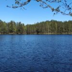 Half Day Hiking Tour In Beautiful Estonian Nature Pickup Details