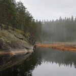 Half Day Nature Adventure To Nuuksio National Park From Helsinki Overview Of The Adventure