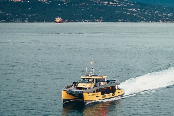 Half-Day Whale Watching Adventure From Victoria - Overview of the Adventure