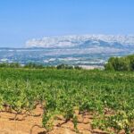 Half Day Wine Tour In Côtes De Provence Sainte Victoire From Aix En Provence Included In The Tour