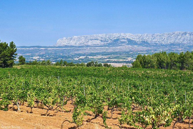 Half-Day Wine Tour in Côtes De Provence Sainte-Victoire From Aix-En-Provence - Included in the Tour