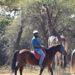 Harties Horse Trail Safari Half Day Overview And Experience