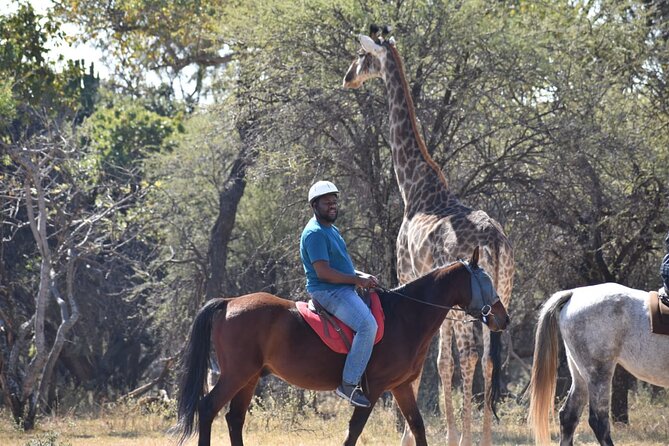 Harties Horse Trail Safari Half Day - Overview and Experience