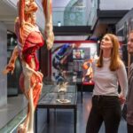 Heidelberg: Body Worlds Museum Entrance Ticket Ticket Information