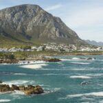 Hermanus Land Based Whale Walking Tour With Dave De Beer Tour Overview