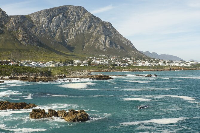 Hermanus Land Based Whale Walking Tour With Dave De Beer - Tour Overview