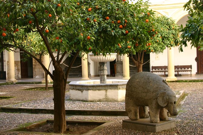 Historical Cordoba Guided Walking Tour - Tour Overview