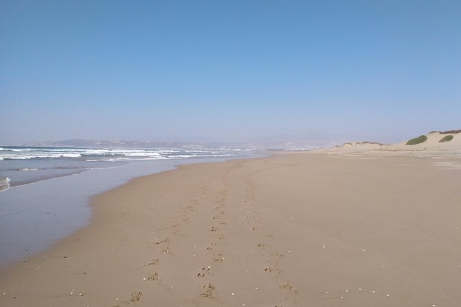 Horse Riding in Agadir National Park - Meeting and Pickup Logistics