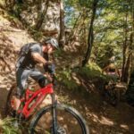 Innsbruck: Arzler Alm Single Trail E Bike Tour Tour Overview And Details