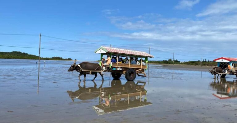 Iriomote: Mangrove Canoe And Yubujima Sightseeing Tour! Inclusions And Exclusions