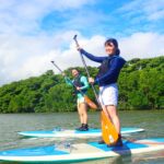 Ishigaki Island: Sup/kayaking And Snorkeling At Blue Cave Activity Overview