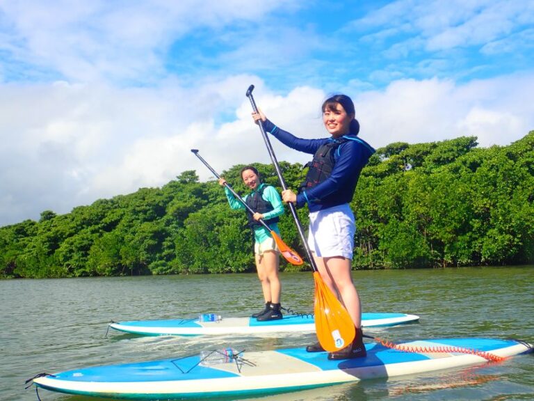 Ishigaki Island: Sup/kayaking And Snorkeling At Blue Cave Activity Overview