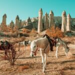 Istanbul To Cappadocia All Inclusive Private Day Tour Exploring Uchisar Castle