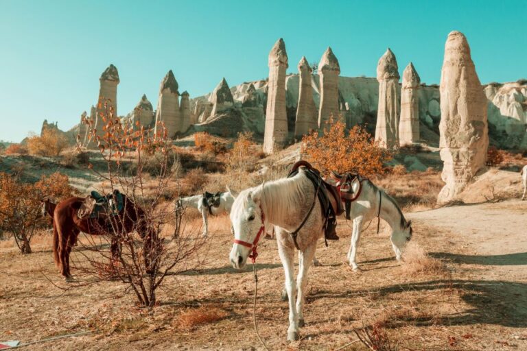 Istanbul To Cappadocia All Inclusive Private Day Tour Exploring Uchisar Castle