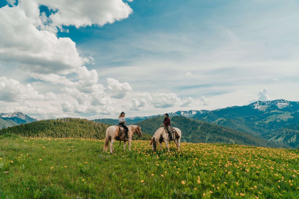 Jackson Hole: Moose Meadow Horseback Tour With Breakfast - Tour Details