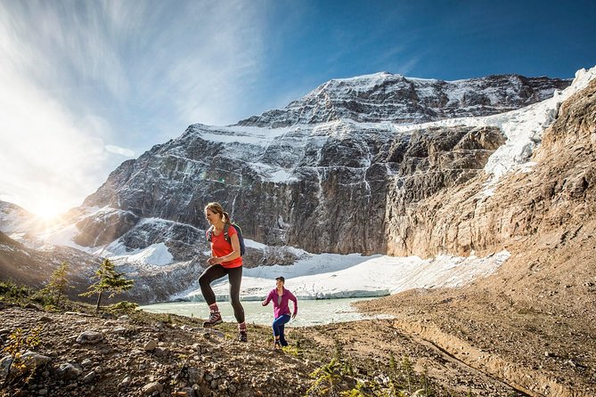 Jasper To Lake Louise One Way Tour Icefields Parkway Highlights