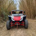 Jungle: Buggy Adventure Activity Overview