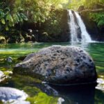 Kahului: Guided Rainforest And Waterfall Walk Activity Overview