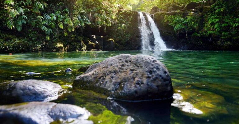 Kahului: Guided Rainforest And Waterfall Walk Activity Overview