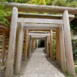 Kamakura: 5 Hour Nature And History Tour Review Tour Overview