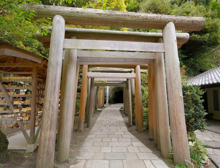 Kamakura: 5 Hour Nature And History Tour Review Tour Overview