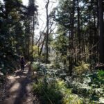 Kamakura: Daibutsu Hiking Trail Tour With Local Guide Overview Of The Tour