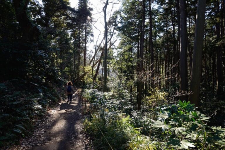 Kamakura: Daibutsu Hiking Trail Tour With Local Guide Overview Of The Tour