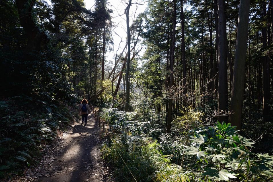 Kamakura: Daibutsu Hiking Trail Tour With Local Guide - Overview of the Tour