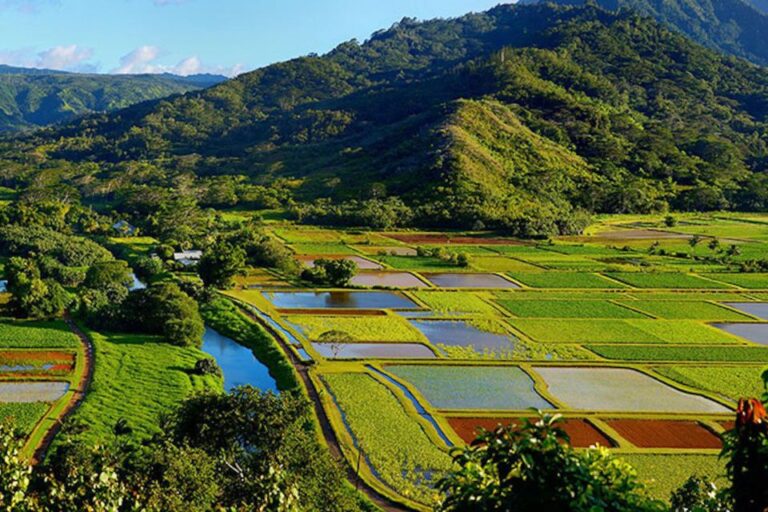 Kauai: Scenic Movie Locations Bus Tour Tour Overview And Inclusions