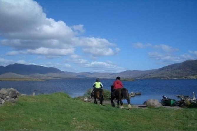 Killarney National Park Horseback Ride. Co Kerry. Guided. 2 Hours. - Overview of the Experience