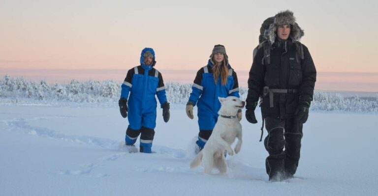 Kiruna: Snowshoe Hike & Ice Fishing Tour Snowshoe Hike In Kirunas Tundra