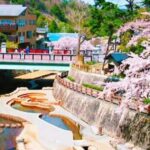 Kobe Mt Rokko View, Kitano Ijinkan, & Arima Onsen Day Trip Trip Overview And Pricing